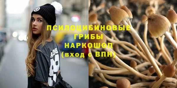 гидра Алапаевск