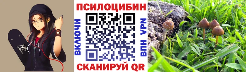 Галлюциногенные грибы прущие грибы  Тулун 